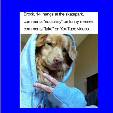 If he saysspeak bark just fyouactually speak thatll really. Clean-Memes-2018-Funny-5 - King Tumblr