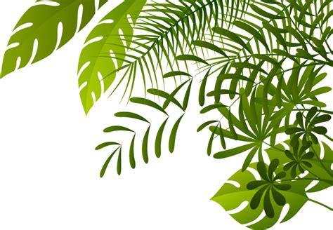 Free Jungle Leaves Png Download Free Jungle Leaves Png Png Images