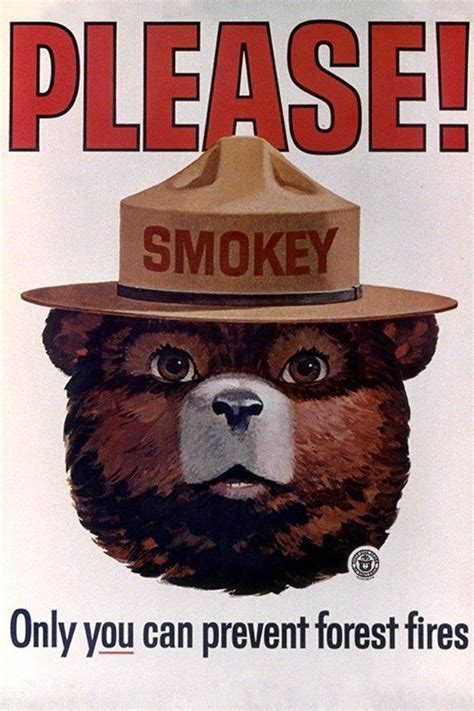 Smokey Bear Please Only You Can Help Smokey Head Etsy In 2020
