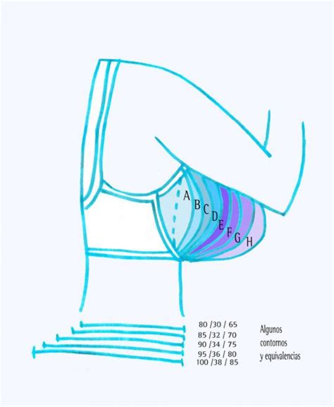 Cómo Calcular La Talla De Sujetador Correcta Consejos Y Tallas Internacionales Vlrengbr