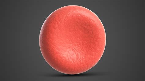 3d Red Blood Cell Model Turbosquid 1503022
