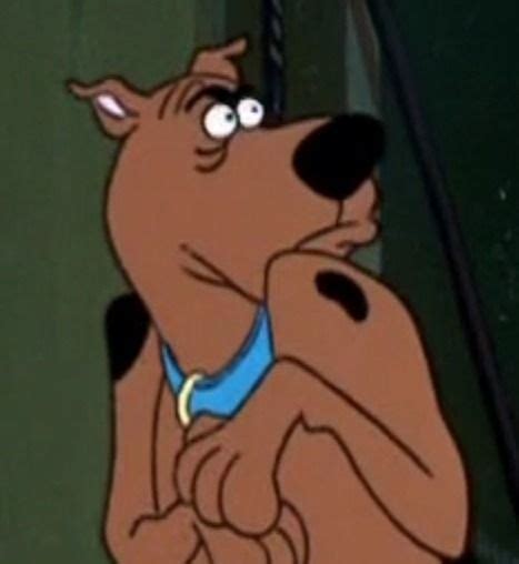Best Laughing Memes Scooby Doo Pictures Scooby Doo Mystery
