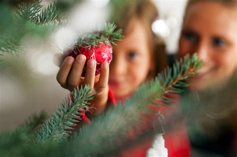No job too big or small, we are fully insured and trained to provide you with the solutions you need as well as the quality you deserve. How to Host a Christmas Tree Trimming Party
