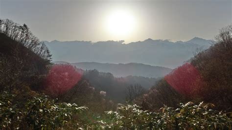 Japan Forest Mountains Lens Flare Valley Sunset Nagano Prefecture