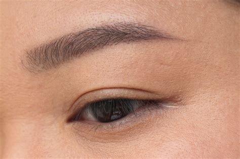 Looking for info on how to arch eyebrows? delicate hummingbird.: the new brows.