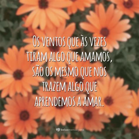 Frases De Conforto Para Amiga