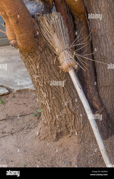 Traditional Handmade Grass Broom Leaning Against A Tree Image With Copy
