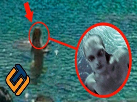 Nah untuk kepercayaan tersebut saya tidak bisa mengiyakan maupun mendtidakkan, semua tergantung pada kalian semua. Gambar Ikan Duyung Cantik Hidup dan Jadi Kartun Terbesar
