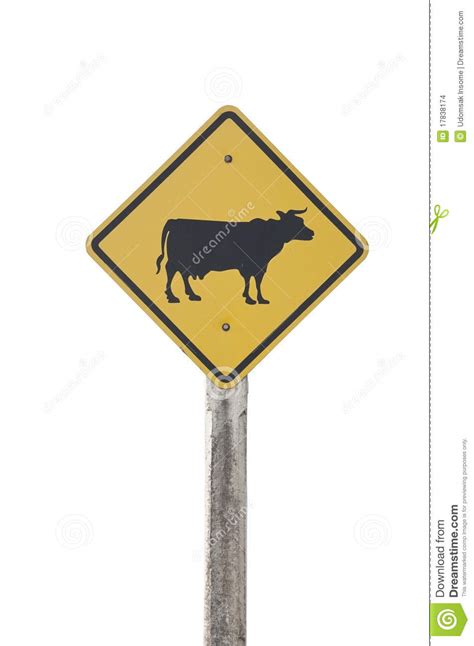 Cow traffic sign stock photo. Image of agriculture, farm - 17838174