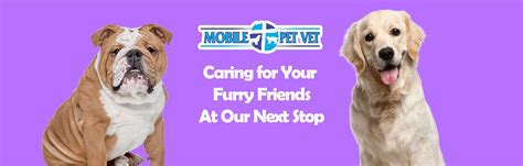 A mobile vet that comes to you. Mobile Pet Veterinary Services of El Paso, Texas
