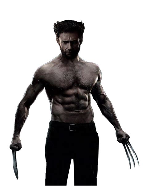 Png Wolverine Transparent Wolverinepng Images Pluspng
