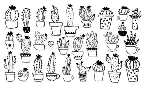 Ollection Of Different Types Of Cacti In Pots Line Sketch Hand