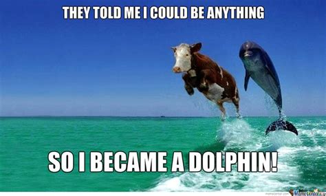 Cow Became A Dolphin Funny Dolphin Dolphin Memes Dolphins