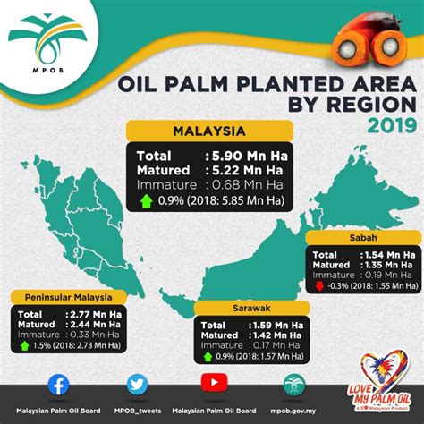 The mpob is one of the agencies under malaysia's ministry of plantation industries and commodities. Oil Palm Planted Area by Region 2019 - PalmOilPedia