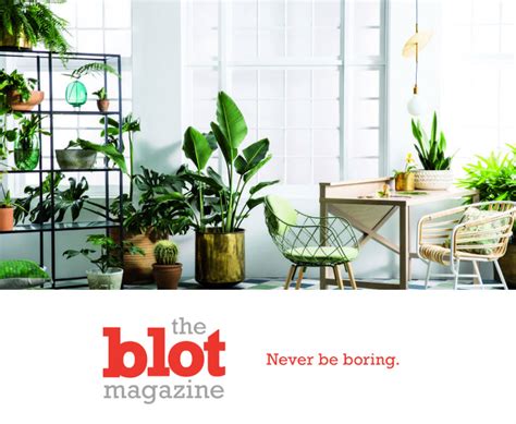 A Guide To Finding Your Green Thumb Theblot Magazine