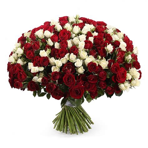 Impressive Bouquet Of Roses Extra Large 100 Stems Buy In Vancouver