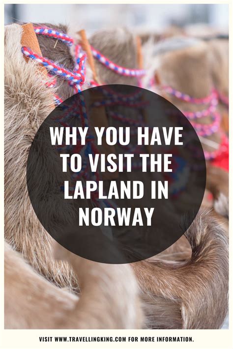 Why You Have To Visit The Lapland In Norway Lapland Norway Finnmark