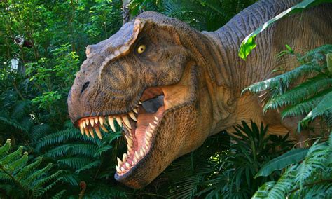 7 Real Life Jurassic Parks From Around The World For Dinosaur Lovers Wanderlust