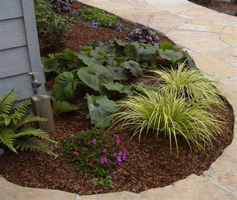 Cheerful Grasses Add Color And Movement To Your Winter Garden