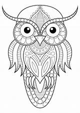 Owl Simple Patterns Coloring Owls Adults Adult Animals sketch template