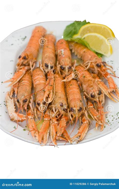 Cooked Lobsters Stock Photo Image Of Ingredient Vertical 11029286