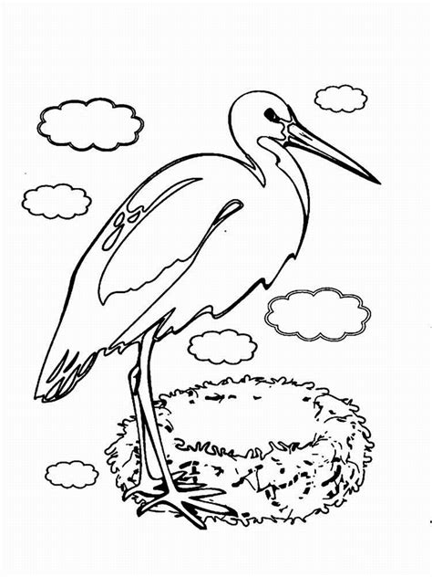 Stork coloring pages is a page that has collected images of a very recognizable bird. Storks Coloring Pages