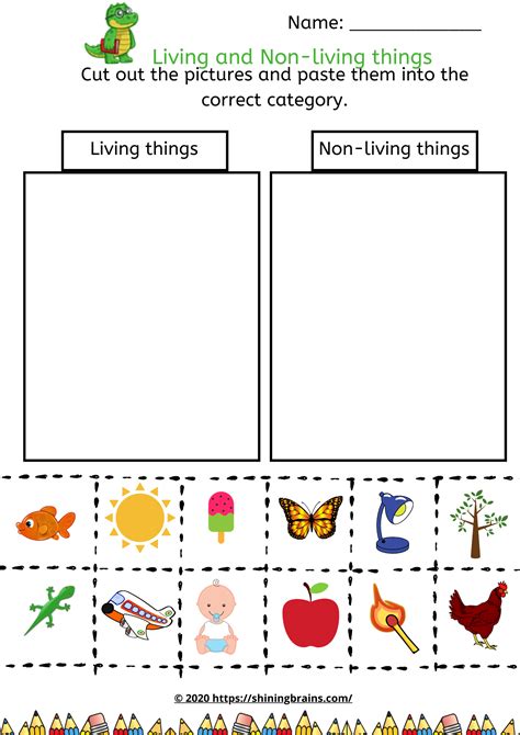 Living And Non Living Things Free Worksheets