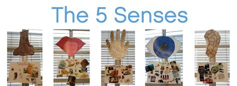 5 Senses Craft My Body Pinterest Senses Preschool Kindergarten