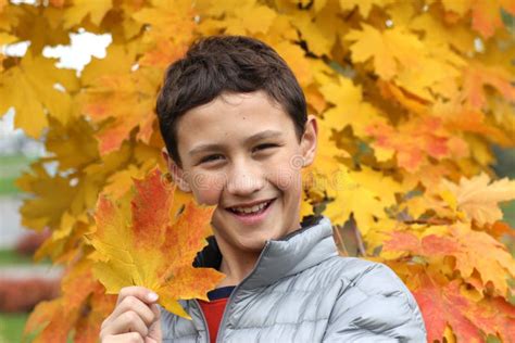 Boy At Maple Leaf In Falling Stock Photo Image Of Lifestyle Colorful