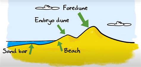 Coastal Erosion Diagrams For Kids