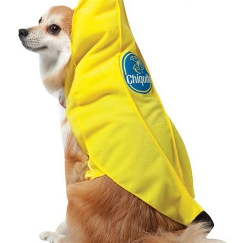 Chiquita Banana Dog Costume Halloween Costume Ideas 2023