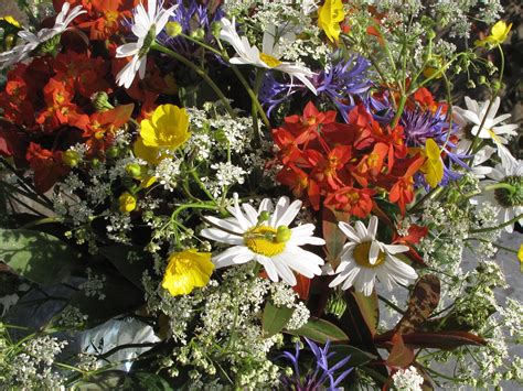 Holzkohle feuerschale magazin freizeit grillen garten essen. Sommerzeit | Blumenstrauß, Blumen, Haus und garten