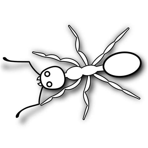 Ant Clipart Black And White Clipart Best