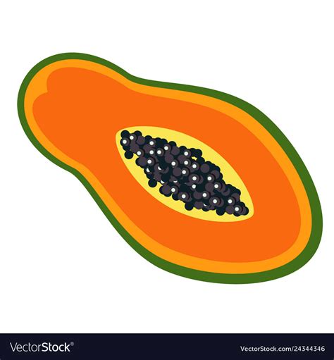 Papaya Clipart Vector Pictures On Cliparts Pub 2020 🔝