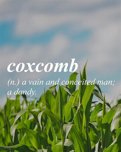 Pin On Uncommon Words