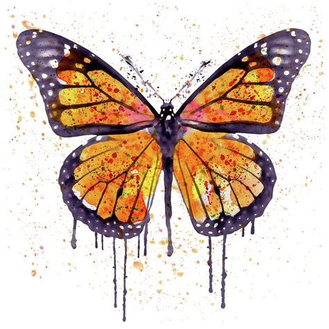 Monarch Butterfly Watercolor Painting By Marian Voicu Pixels