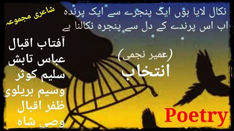 Best Urdu Poetry Collection Abbas Tabish Zafar Iqbal Aftab Iqbal