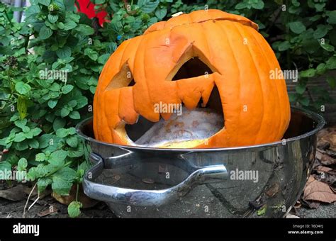 Rotten Evil Pumpkin Stock Photo Alamy