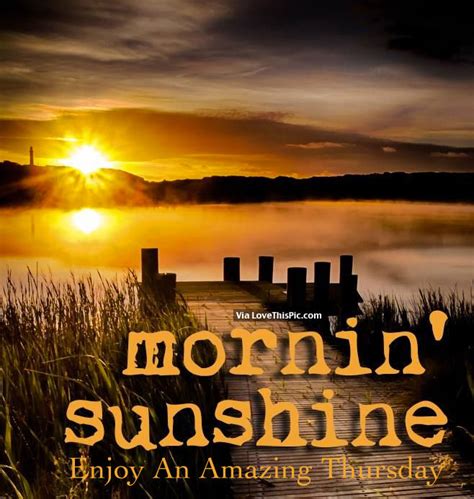 Morning Sunshine Pictures Photos And Images For Facebook