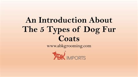 Ppt An Introduction About The 5 Types Of Dog Fur Coats Powerpoint