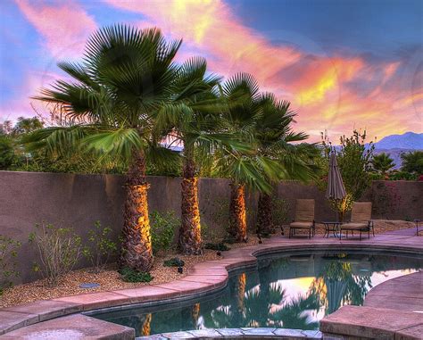 Backyard Pool With Sunset And Palm Trees By Doug Mazell Photo Stock