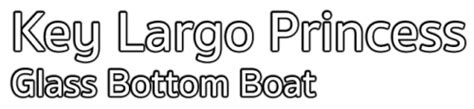 Key Largo Princess Glass Bottom Boat Cruises And Charters