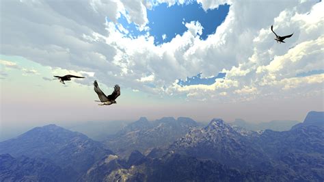 3 Birds Flying Over Mountain Free Image Peakpx