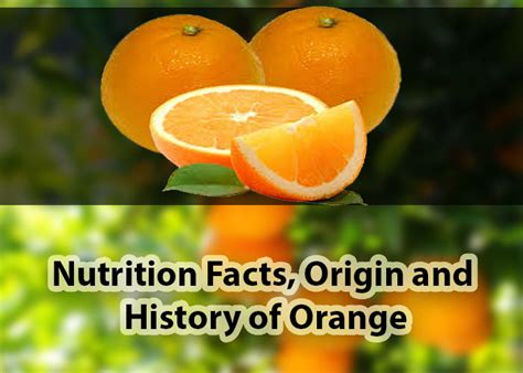 Orange Nutrition Facts History And Its Originfood Facts