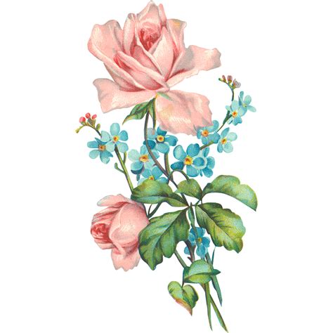 Discover and download free flower png images on pngitem. free png vintage flower collection on Behance