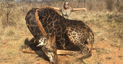 Hunter Sparks Outrage After Posing With Rare Black Giraffe Shes Just Shot And Killed Small Joys