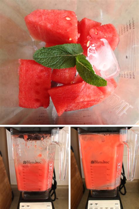 Watermelon Mint Refresher Vie De La Vegan