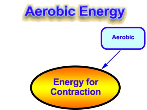According to the mayo clinic, carbohydrates provide the fuel for exercise carbohydrates play a crucial role in generating energy during aerobic and anaerobic exercises. The Role Of Carbohydrate, Fat And Protein As Fuels For ...