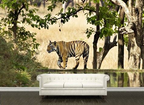 Tiger Wall Murals Katzenworld