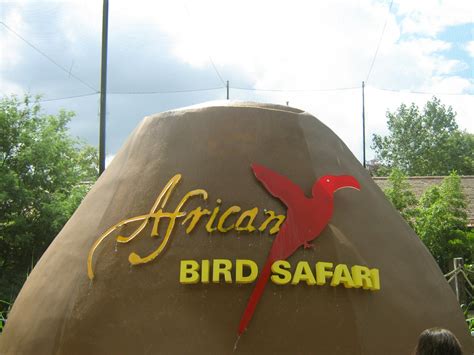 African Bird Safari Sign Zoochat